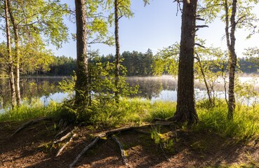 Nature landscape for hiking in Estonia