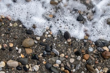 Pebbles and shell on the shore in the beach