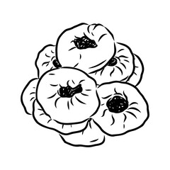 Indian, Asian food delicious samsa. Vector hand drawn illustration.sketch