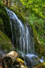 Vertical long exposure shot of a waterfall in a green forest