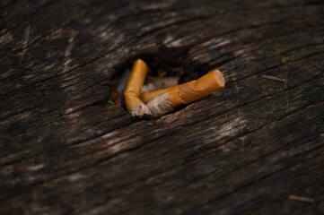 Cigarette Butt