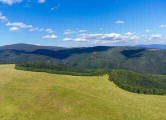 Fototapeta premium Scenic view of an alpine pasture at the edge of the forest