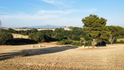 Agricultural field after harvest under a light blue sky