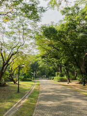 Fototapeta na wymiar Vertical shot of an empty walking path in a park