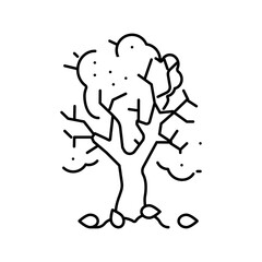 Fototapeta na wymiar tree autumn line icon vector illustration