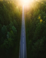 Fototapeta premium Aerial view of a highway road through the green forest at dreamy sunlight, in a vertical shot