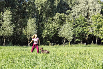 Portrait of a young blonde woman training a hunting dog of the Kurz-Haar breed in the park. summer time vacation