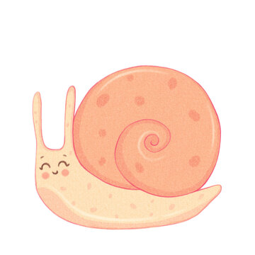 Cute snail on transparent background 