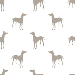 Standing pharaoh hound isolated on white background. Seamless pattern. Dog silhouette. Endless texture. Design for wallpaper, wrapping paper, fabric.