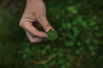 Close up on a hand holding a green leave on a green background. Cloverleaf. Searching for...