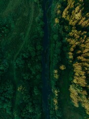 Fototapeta na wymiar Aerial vertical view of a river through the green forested valley