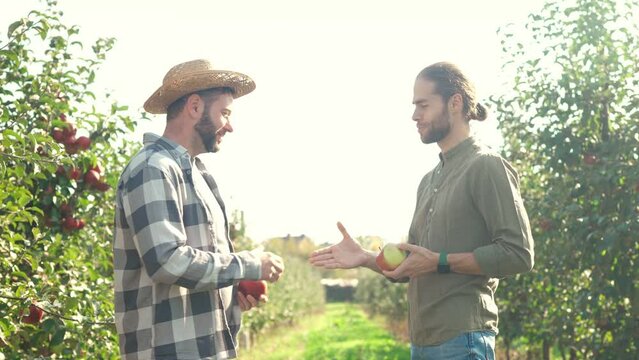 Two Caucasian men talking and shaking hands at apple garden farm on sunny summer day. Outside. Males gardeners having talk and discussing apples harvest. Agreement on selling fruit.
