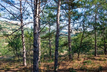 View from the volcano Kara Dag to the mountains in Crimea