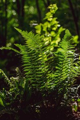 Vertical shot of a plant in the forest