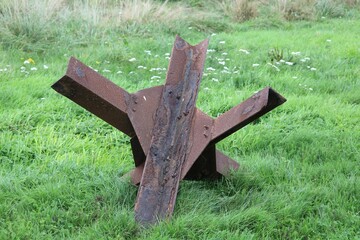 Hérissons Tchèques © carolle