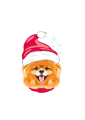 Happy pomeranian dog in Santa hat