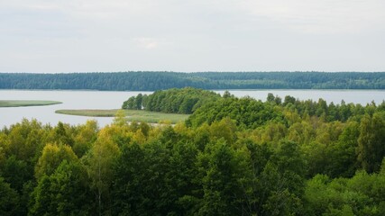 Magnigicent Wigry forest with green foliage surrounding the Wigry lake in Poland