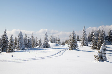 beautiful winter landscape with snowy fir trees