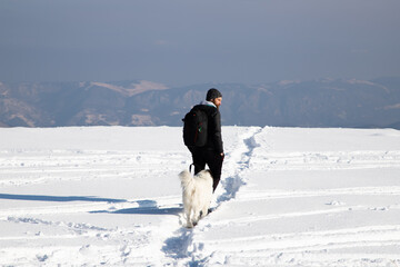 man and dog trekking in big snow in mountains in winter