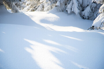 beautiful winter landscape with snowy fir trees