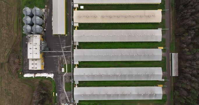aerial flight over silos and agro-industrial livestock complex on agro-processing and manufacturing plant with modern granary elevator. chicken farm. rows of chicken coop