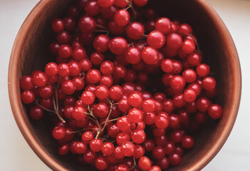 Ripe viburnum in clay bowl. Autumn beriies. Autumn harvest. Natural antioxidant. Natural flu remedy. Raw viburnum berries close up. The fall harvest. Cold healing by nature.