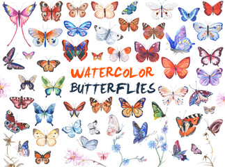 Vector illustration of watercolor butterflies isolated on white background