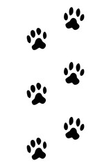 Fototapeta premium Animals feet track. Cat black paw, walking feet silhouette or footprints. Trace step imprints isolated on white. Walking tracks paws illustration