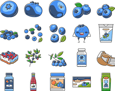 blueberry biberry blue berry icons set vector
