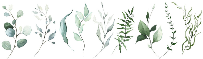 Watercolor floral set of green leaves, greenery, branches, twigs etc.  Cut out hand drawn PNG illustration on transparent background. Watercolour clipart drawing.