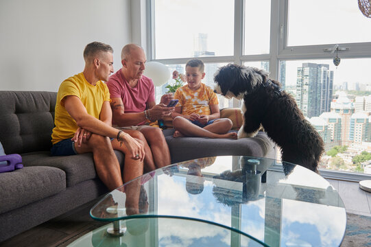 Male couple and son playing with dog in living room.