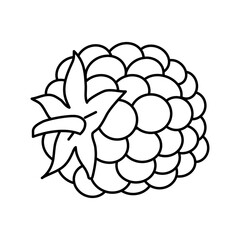 blackberry berry leaf line icon vector illustration