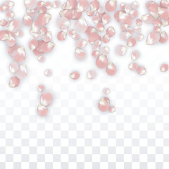 Pink Vector Realistic Petals Falling on Transparent Background.  Spring Romantic Flowers Illustration. Flying Petals. Sakura Spa Design. Blossom Confetti. Design Elements for Wedding Decoration.