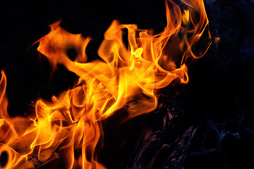 Fototapeta premium Fire blaze. Abstract blaze, fire on a black background, flame texture for banner, background and textured