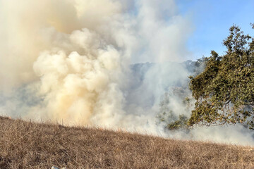 Fototapeta na wymiar California Wildfire Flames 