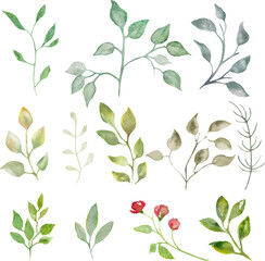 Watercolor set with abstract green leaves, branches isolated on white background. For your design of fabrics, wrapping papers, wallpapers, cards, posters. Hand drawn illustration. Vector EPS.