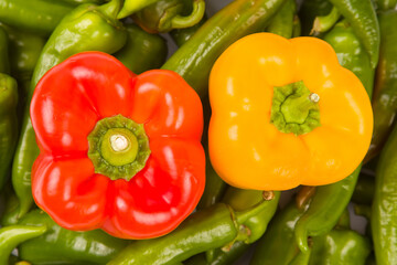 green hot peppers and red and yellow bell peppers. vitamin vegetables for health