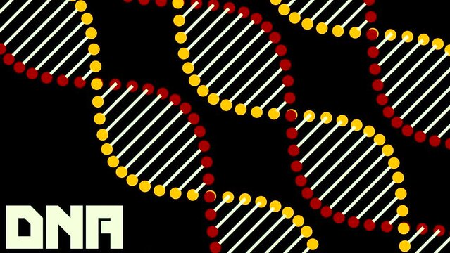 DNA human structure. Design. Schematic colorful DNA spiral, science for children, concept of studies.