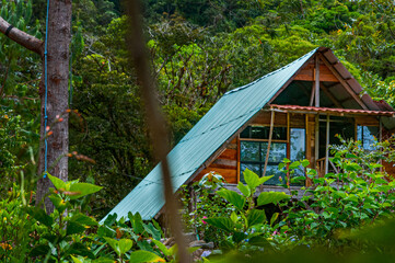 Partial view of a small cabin in the woods