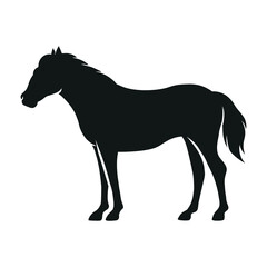  Isolated black silhouette of a horse. Vector illustration.