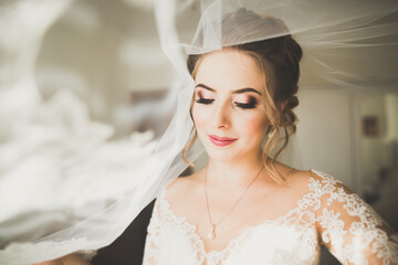 Portrait of beautiful bride with fashion veil at wedding morning