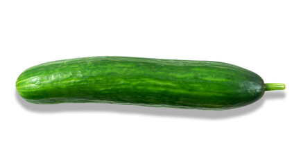 Isolated photo of a juicy green appetizing cucumber. Close-up, white background