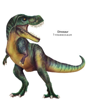 Tyrannosaur illustration. Dinosaur with sharp teeth. Green dino