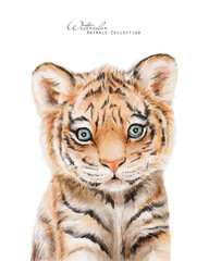 Tiger baby. Watercolor tiger cub. African animals illustration - 546092415