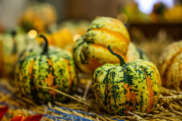 Fresh pumpkins on hay in barn, closeup