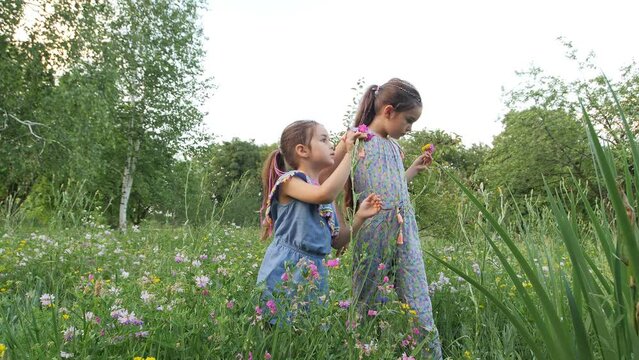 Two little siblings in a meadow collecting wild flowers and making a bouquet. Happy little girls walk in the open air on sunny summer day. Concept of joy of life, happiness. Adventure is ageless.