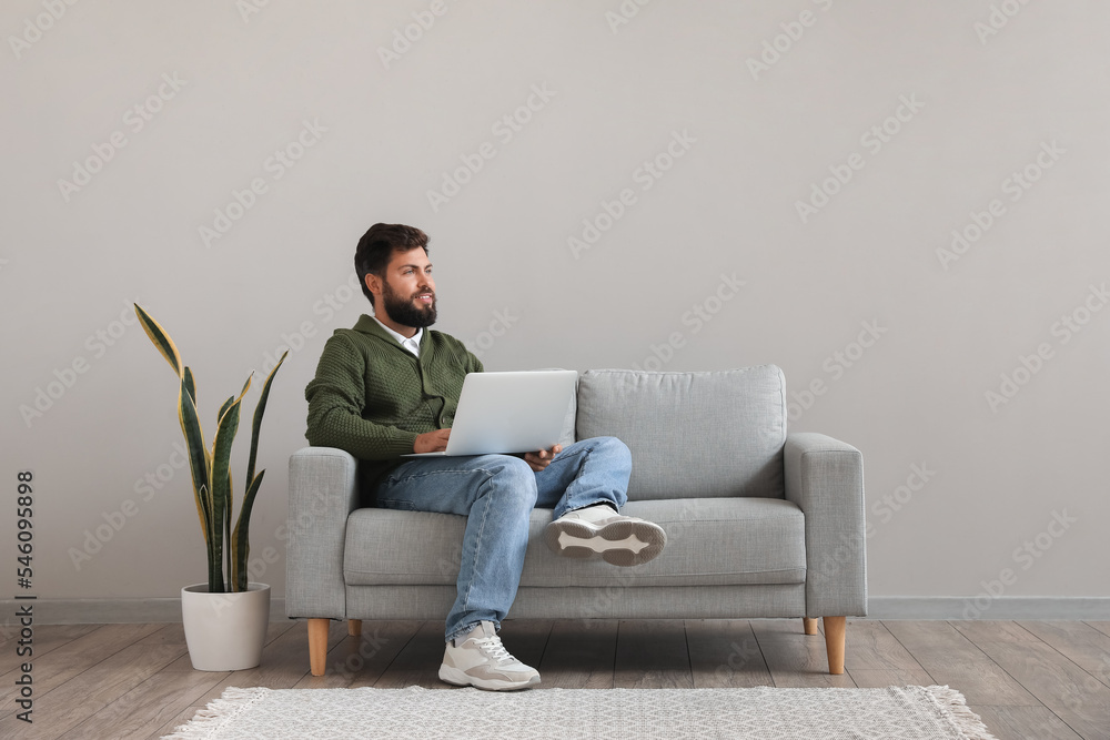 Sticker handsome bearded man using laptop on grey sofa near light wall