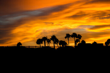 Fototapeta na wymiar Sunset in the palms