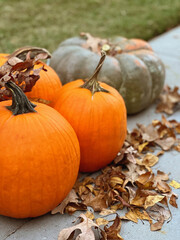 pumpkin on the grass