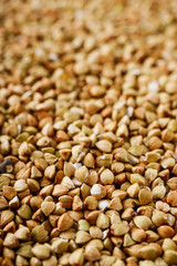 organic raw green buckwheat on a white background